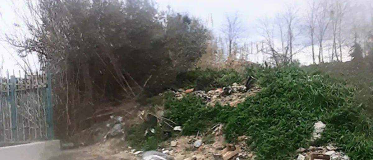 Zaccanopoli, pure l'ex sindaco Grillo contro la giunta Budriesi