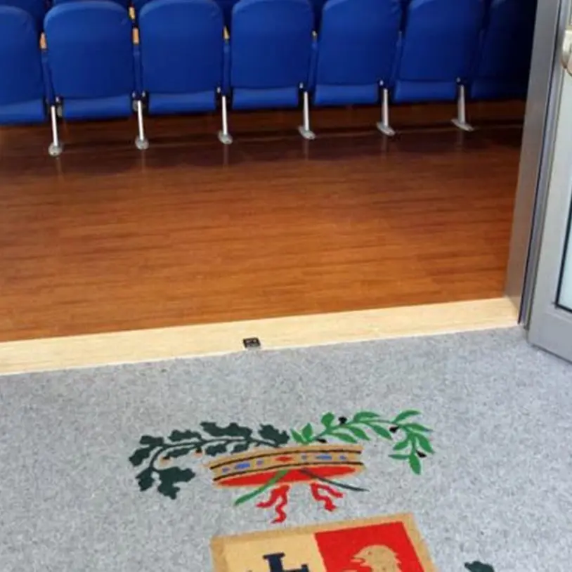 Provincia Vibo, si entra nel vivo \"dell'era L'Andolina\", mercoledì il primo Consiglio