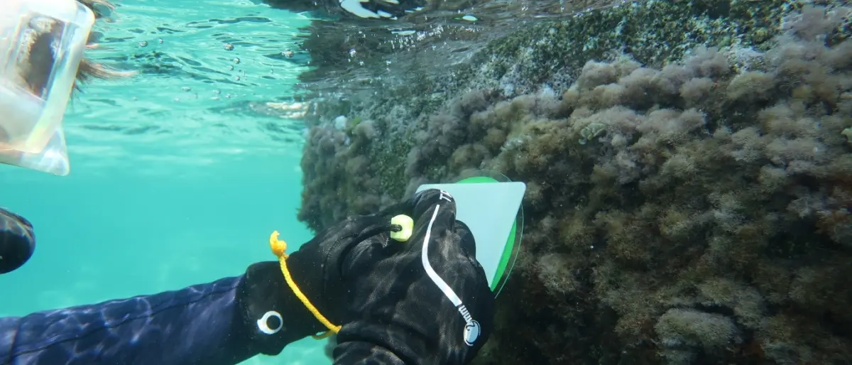 Parghelia, protocollo d'intesa per la biodiversità della \"Costa degli Dei\"