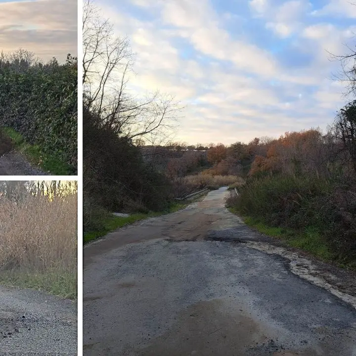 Strade da incubo nel vibonese, il sindaco di Cessaniti: «S’intervenga prima che ci scappi il morto» - Video