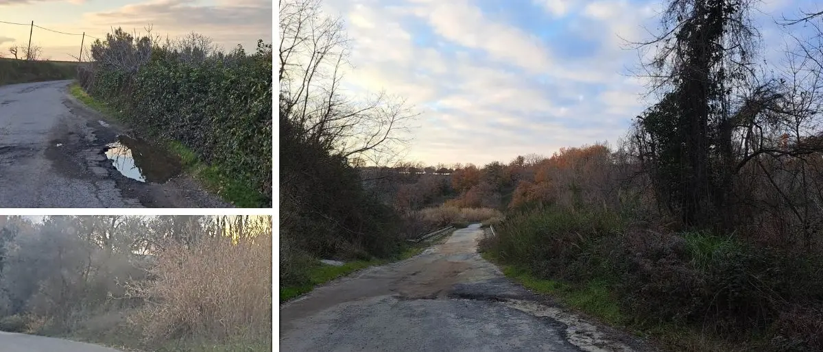 Strade da incubo nel vibonese, il sindaco di Cessaniti: «S’intervenga prima che ci scappi il morto» - Video