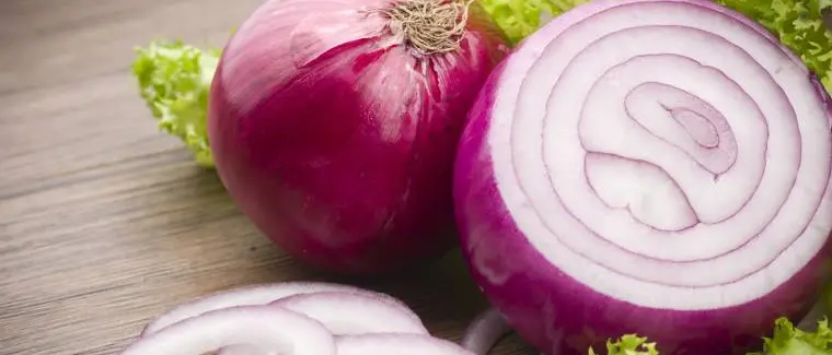 Il Festival della cipolla rossa approda al Congresso internazionale di cucina e pasticceria