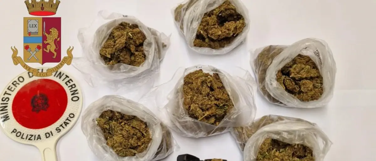 Vibo, beccato in auto con 300 grammi di marijuana: un arresto