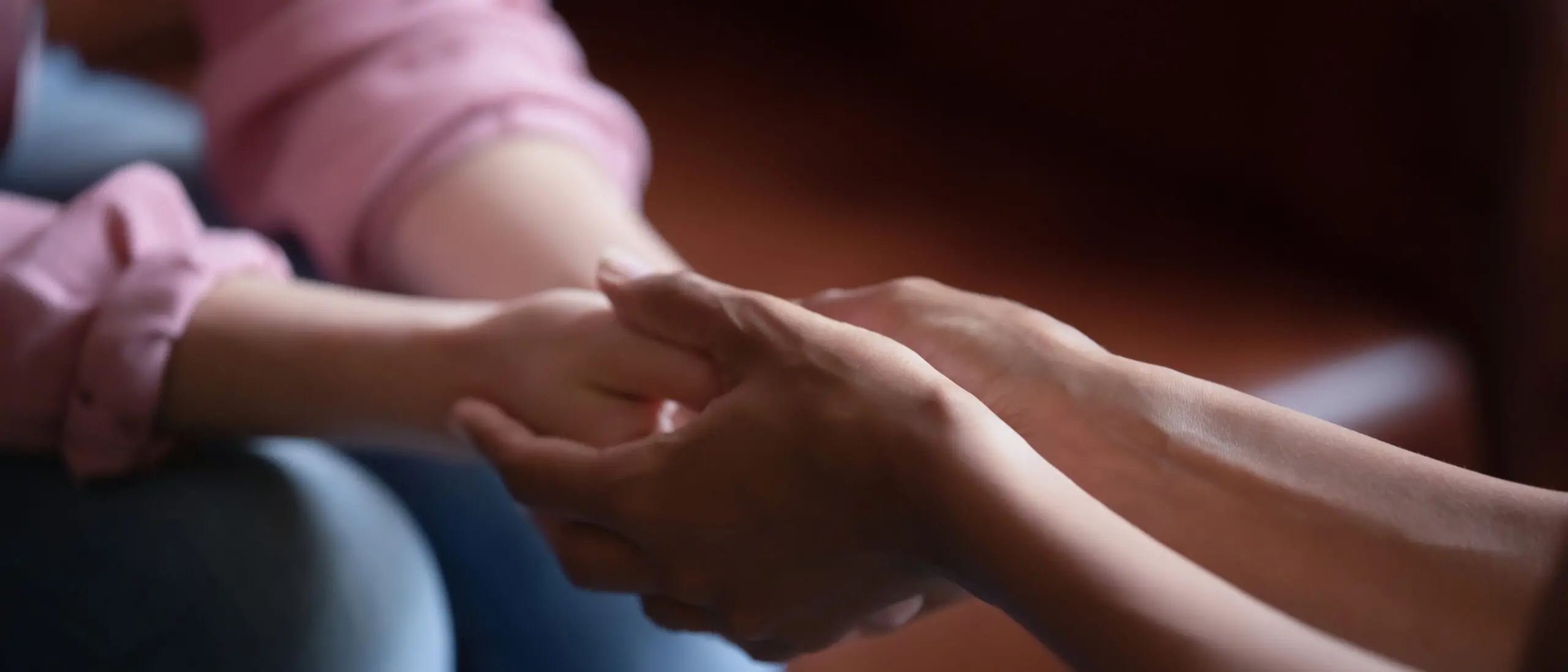 Violenza di genere, a Vibo prevenzione e sensibilizzazione con le iniziative del Club rotary Hipponion