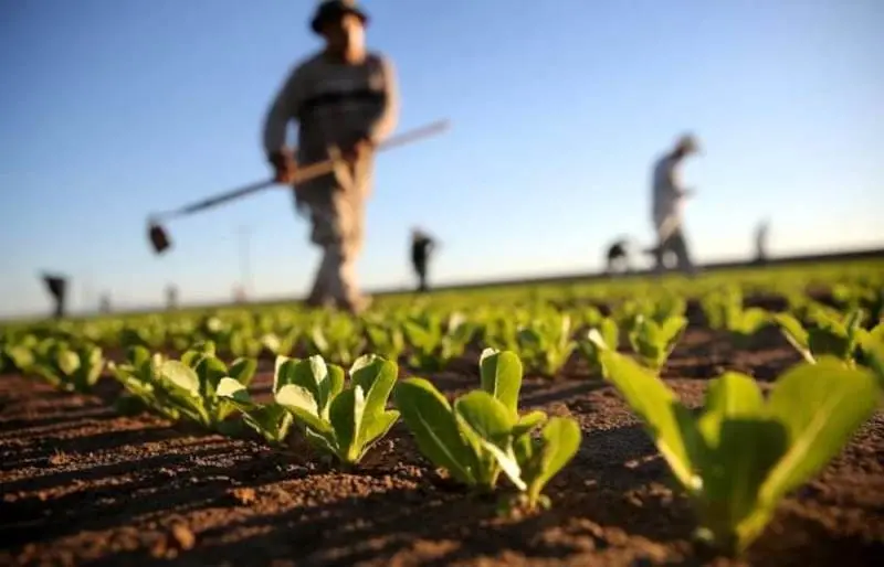 Agroalimentare, Csqa e Igea insieme per il Biologico - Video