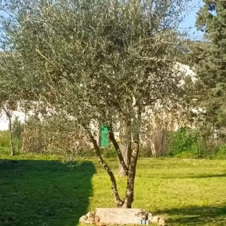 L'importanza della memoria e della storia nel percorso degli alunni di Limbadi