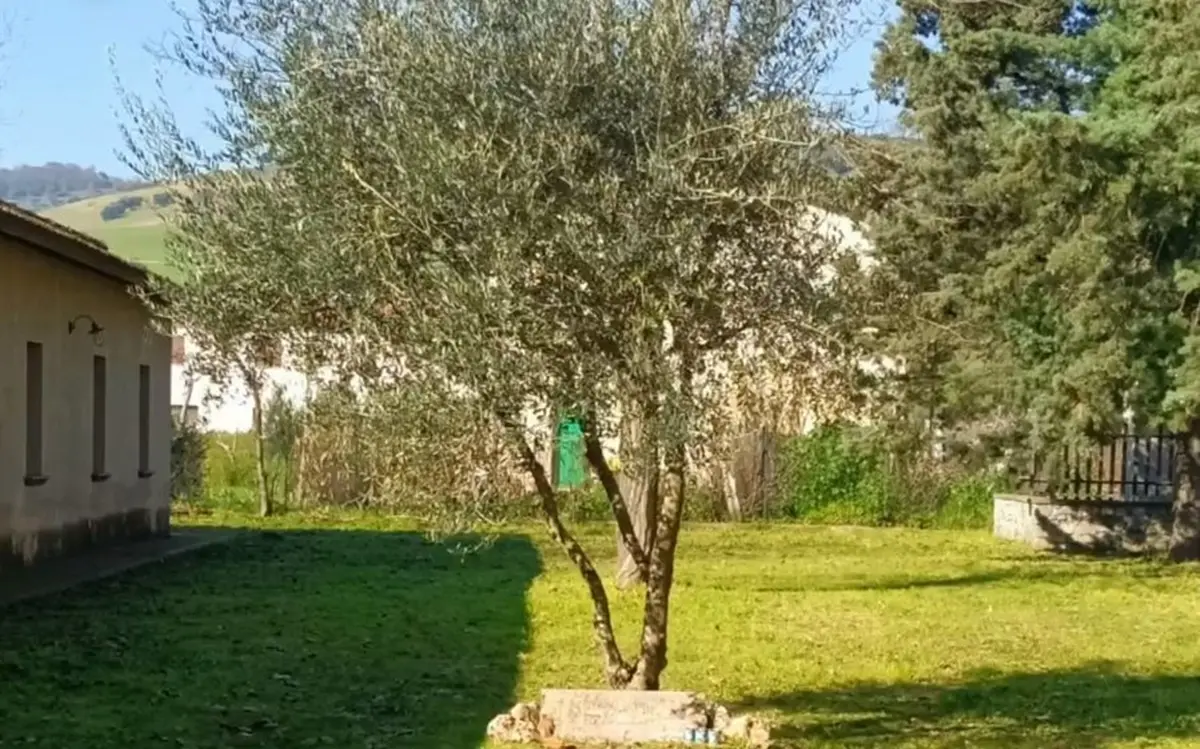 L'importanza della memoria e della storia nel percorso degli alunni di Limbadi