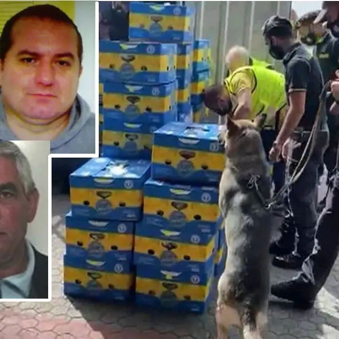 Il pentito Corsini, i sudamericani a San Calogero e la cocaina venduta ai reggini e al clan Di Lauro di Napoli