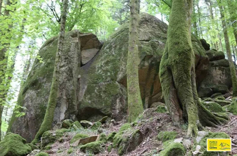 Parco delle Serre, Talerico (Fi): «Il presidente sia deciso dai sindaci. La procedura non deve essere cambiata»
