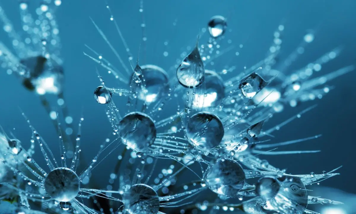 Vibo, l'ibernazione spiegata dall'esperto dell'Agenzia spaziale europea ai ragazzi del Morelli