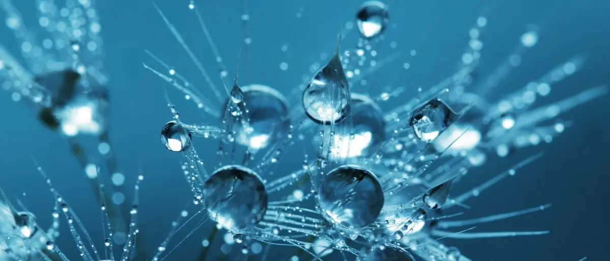 Vibo, l'ibernazione spiegata dall'esperto dell'Agenzia spaziale europea ai ragazzi del Morelli