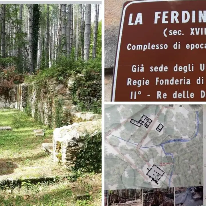 Alla Corte dei Borbone, viaggio dai boschi delle Serre alla scoperta della Ferdinandea