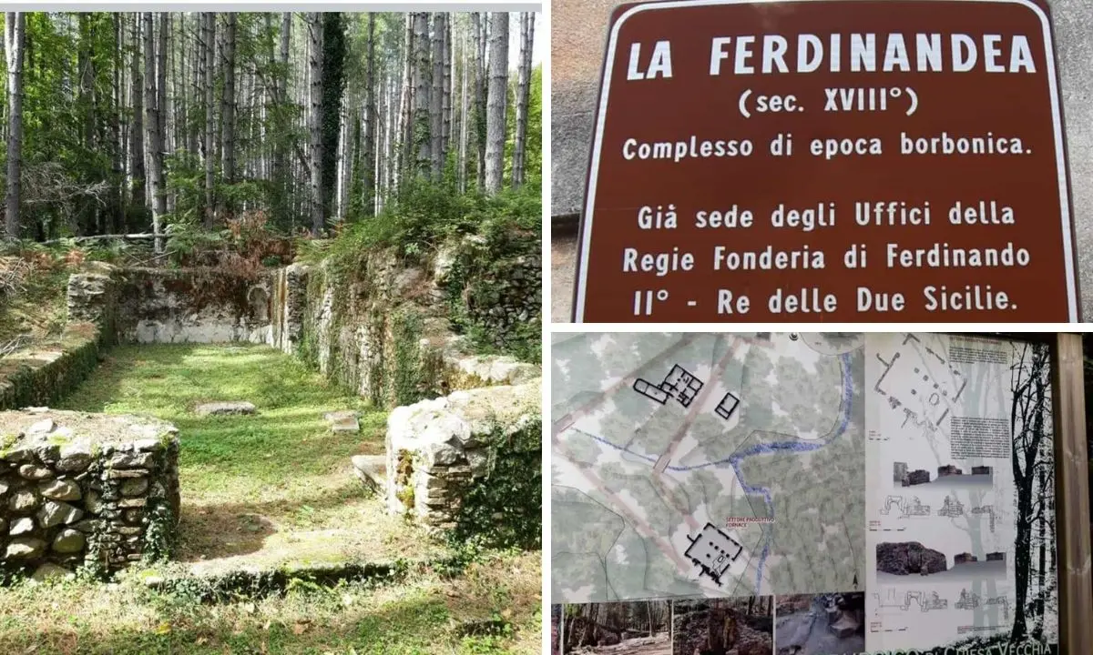 Alla Corte dei Borbone, viaggio dai boschi delle Serre alla scoperta della Ferdinandea