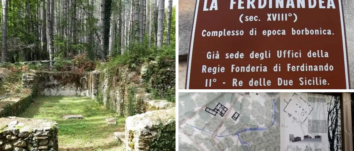 Alla Corte dei Borbone, viaggio dai boschi delle Serre alla scoperta della Ferdinandea