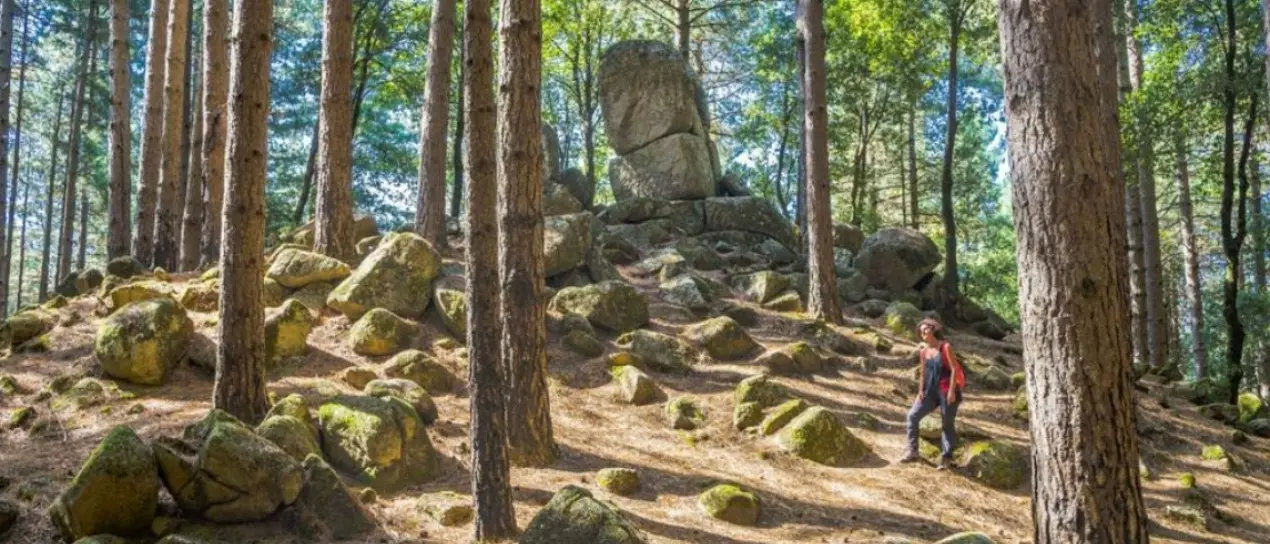 Viaggio a Nardodipace, nel cuore delle Serre alla scoperta dei suggestivi megaliti