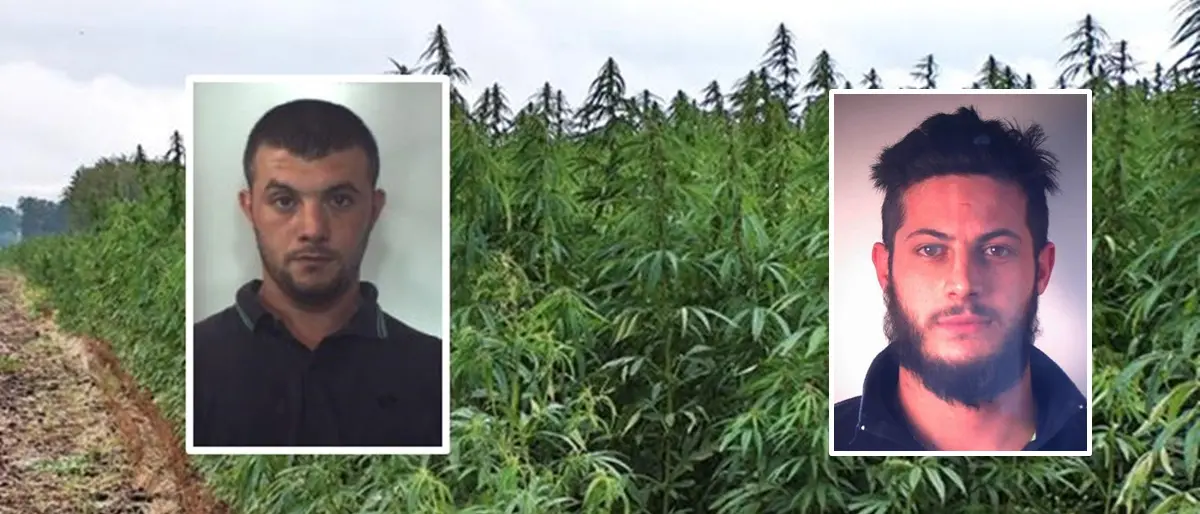 Operazione Anteo: condannati anche tre vibonesi e fra loro il figlio di un consigliere comunale