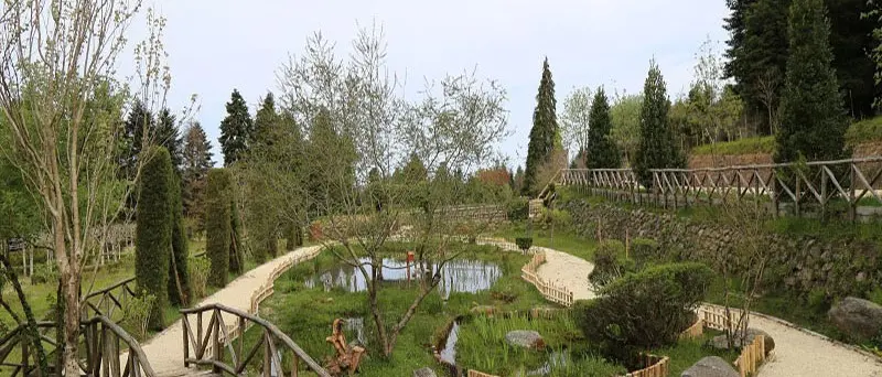 La biodiversità del Parco delle Serre in un libro del professore Siviglia