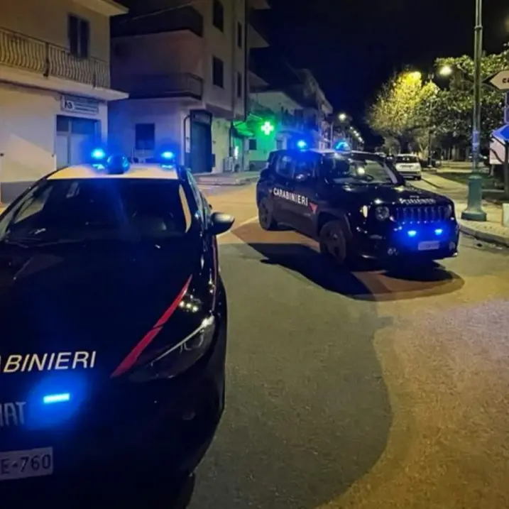 Traffico di droga, 10 arresti tra Calabria e Piemonte -Video
