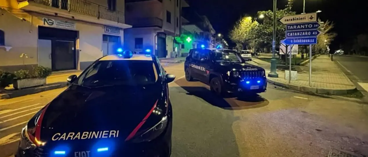 Traffico di droga, 10 arresti tra Calabria e Piemonte -Video