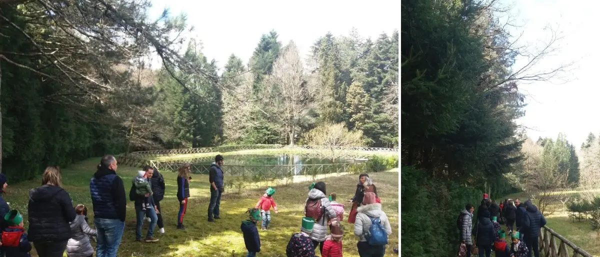 Piccoli escursionisti nel bosco Archiforo, bilancio positivo per “Le domeniche incantate”