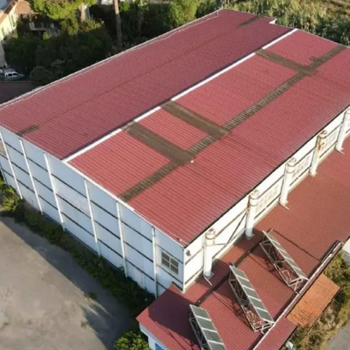 Cittadella dello sport di Vibo Marina e campo da padel, la giunta approva il progetto esecutivo