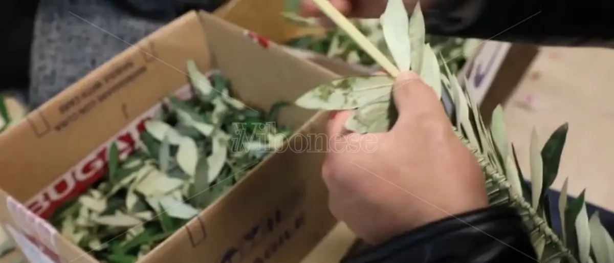 Domenica delle Palme: le tradizioni popolari in Calabria