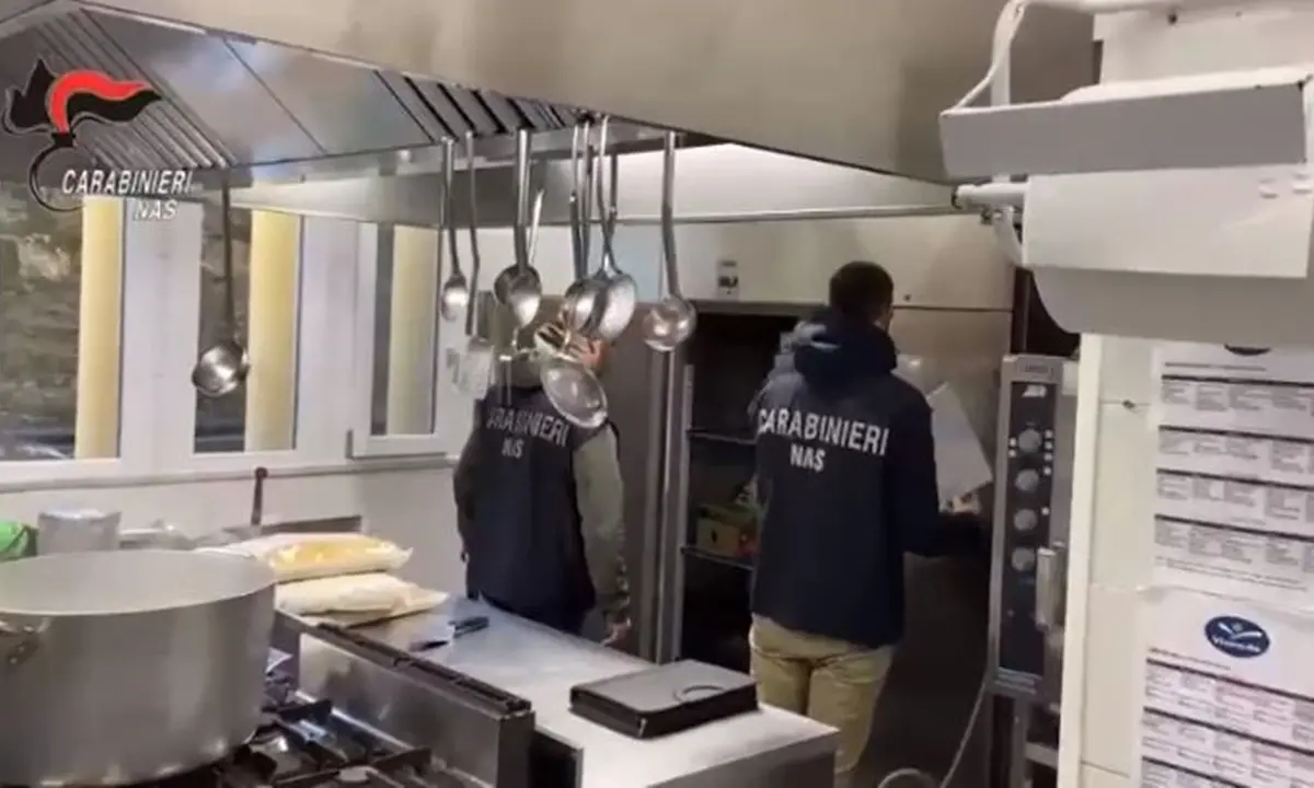 Controlli dei Nas nelle mense scolastiche tra Vibo e Catanzaro: più della metà sono irregolari - Video