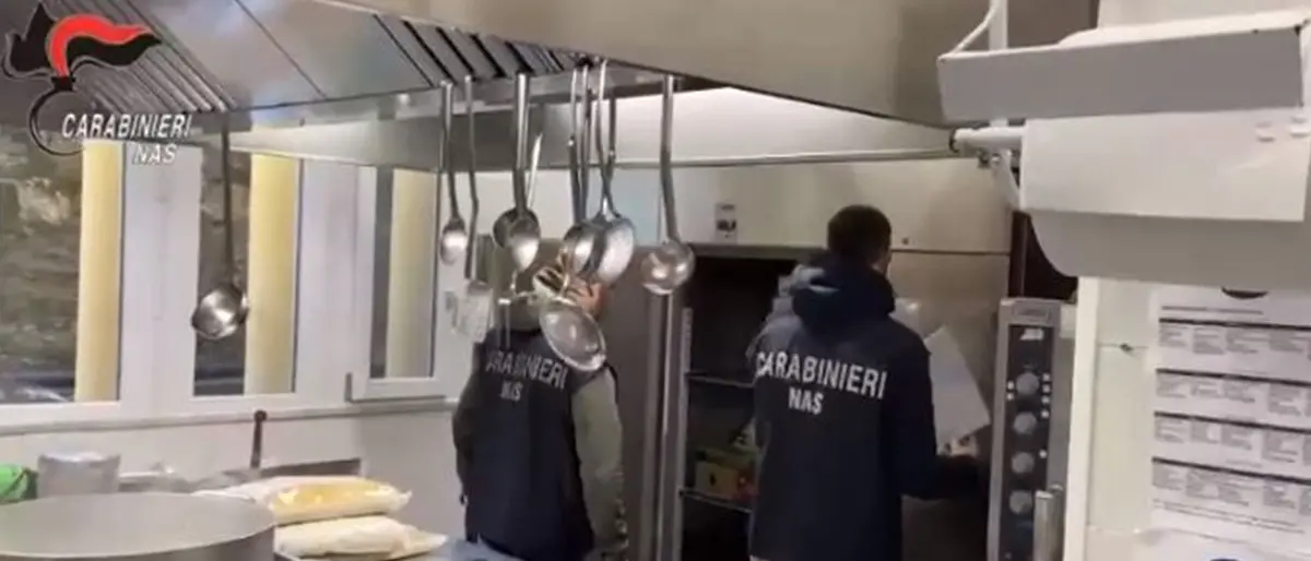 Controlli dei Nas nelle mense scolastiche tra Vibo e Catanzaro: più della metà sono irregolari - Video