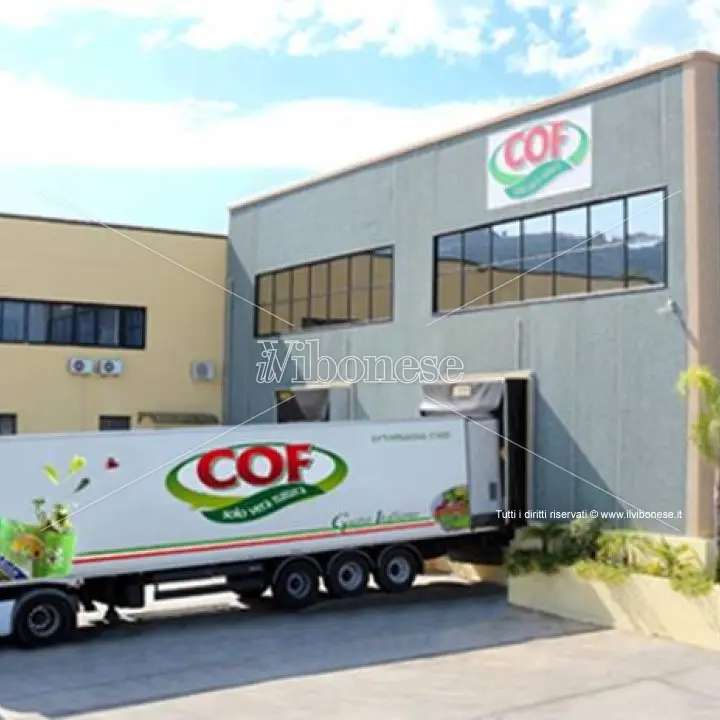 Il crack del colosso vibonese dell’ortofrutta: bufera giudiziaria sul Gruppo Barbieri