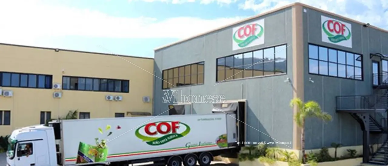 Il crack del colosso vibonese dell’ortofrutta: bufera giudiziaria sul Gruppo Barbieri