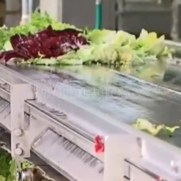 Il re vibonese dell’ortofrutta: politica e massoneria per salvarsi dal crack - Video