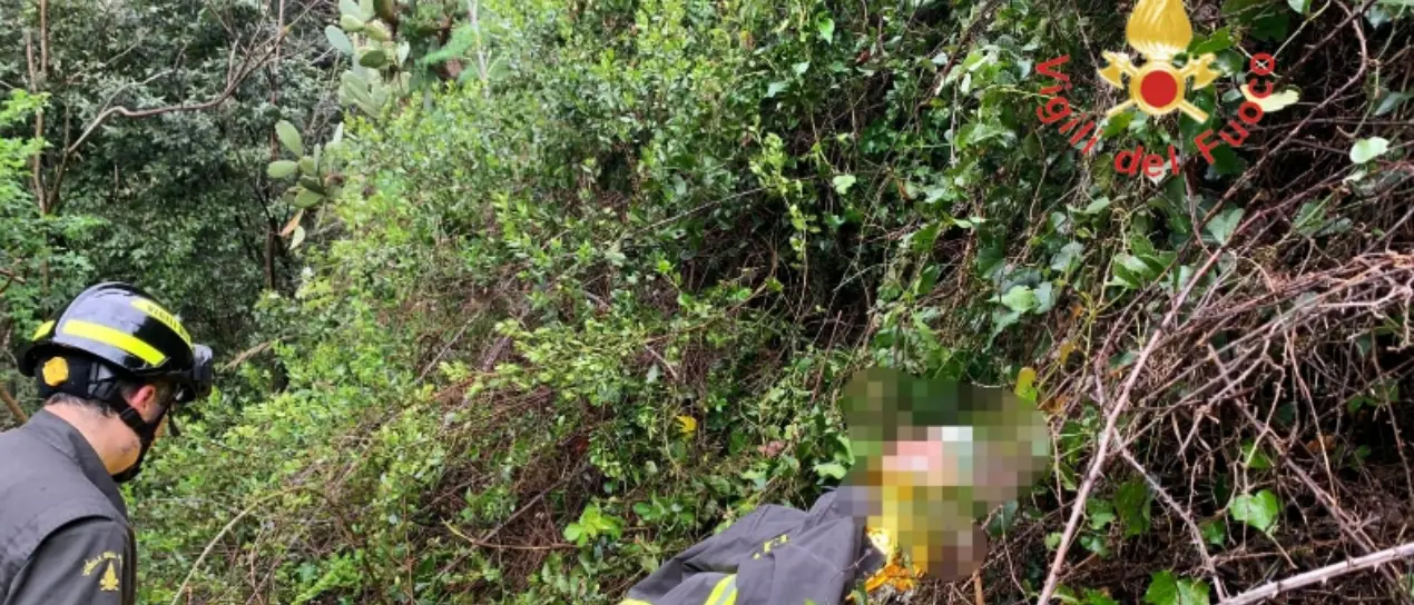 Catanzaro, in fuga dalle forze dell’ordine si getta in una scarpata: recuperato