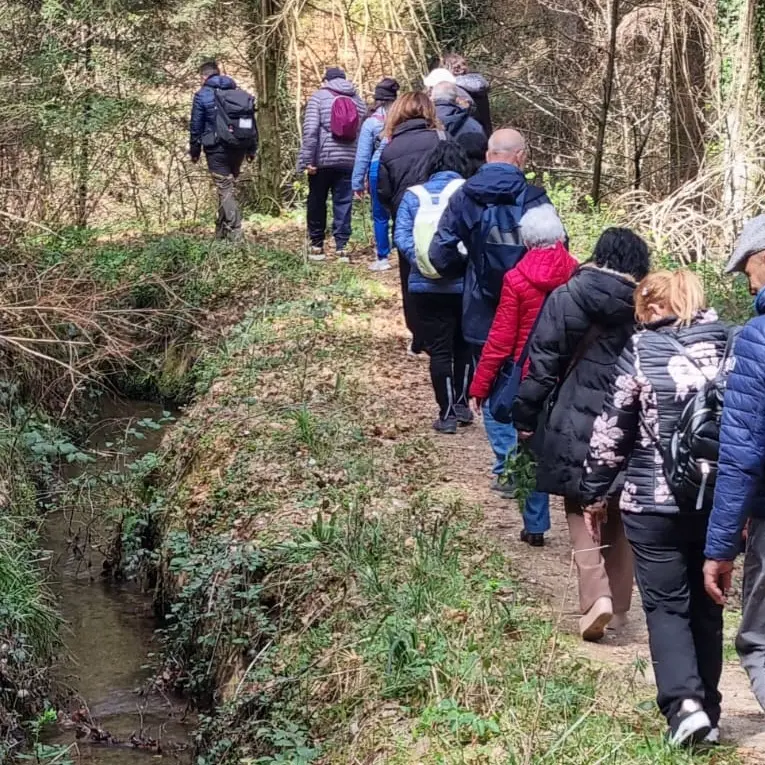Inclusione e accoglienza, successo per il tour culturale e spirituale nel Parco delle Serre