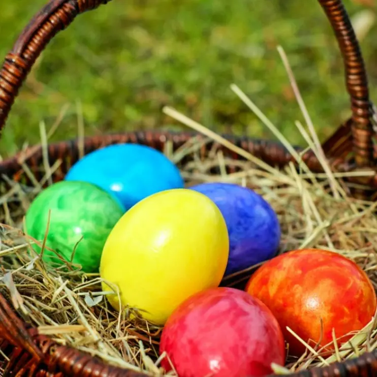 Caccia all’uovo di Pasqua, a Briatico l’iniziativa pensata per bimbi e ragazzi
