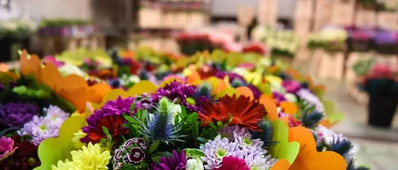 Vibo, il mercato settimanale di fiori e piante cambia posto