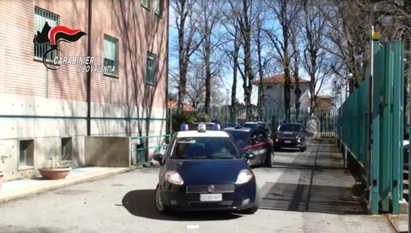 Sequestri e denunce dei carabinieri nel Vibonese