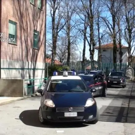 Sequestri e denunce dei carabinieri nel Vibonese