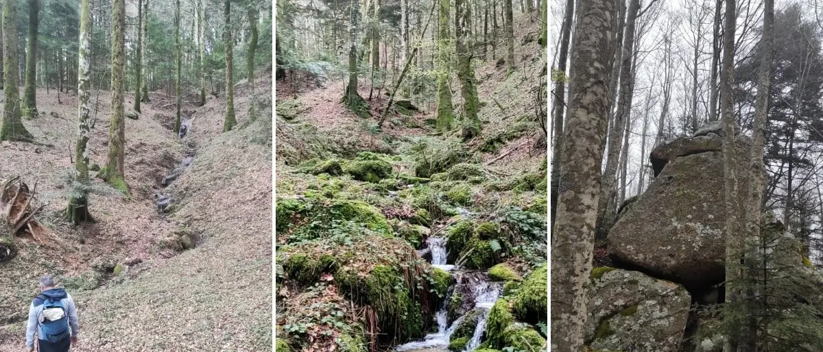 I boschi della Lacina e la storia degli scalpellini serresi: natura e storia nel nuovo percorso trekking