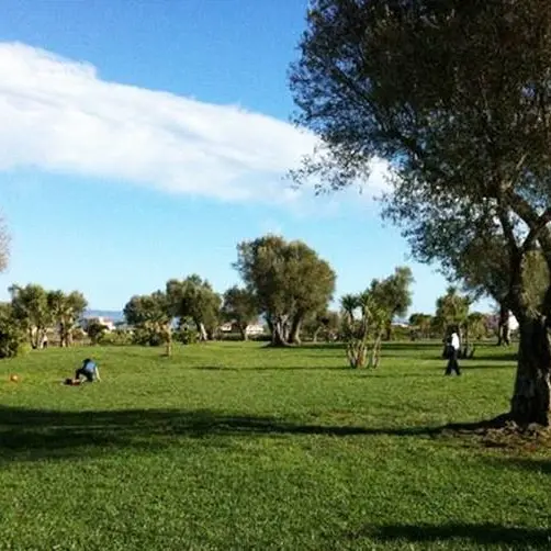 Al Parco Urbano di Vibo Valentia la festa della natura e degli alberi