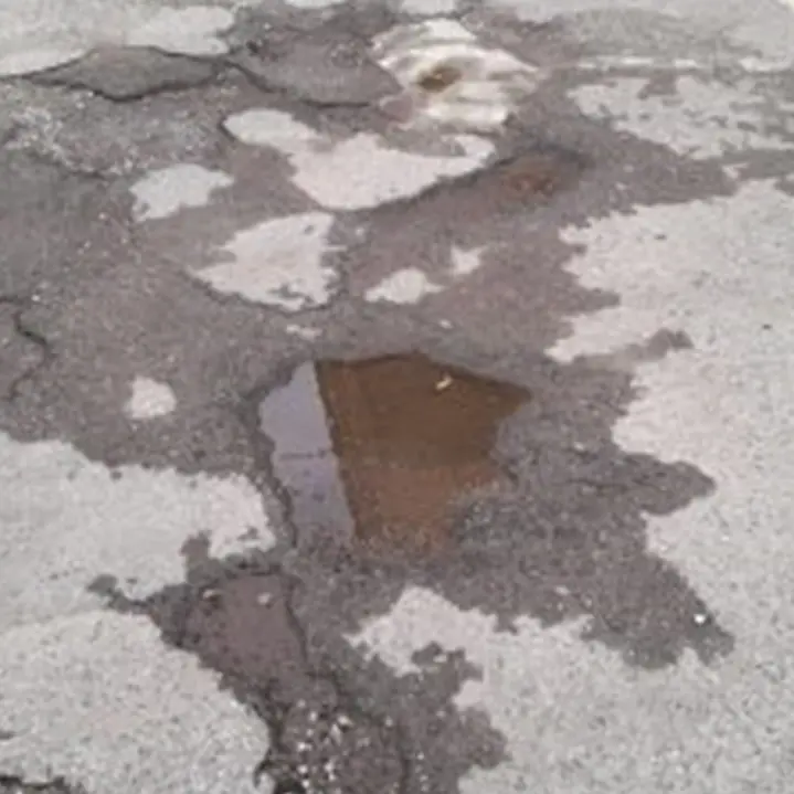 Vibo Marina, tornano a protestare i residenti di via Ampollino: «Viviamo in casa con fogna e blatte»