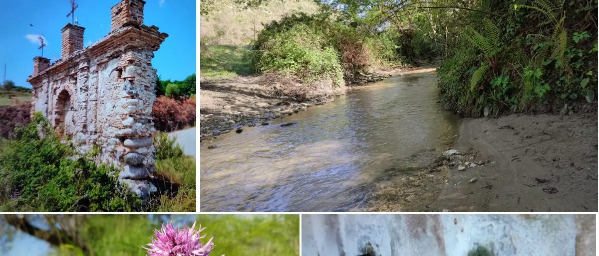 Viaggio alla scoperta del borgo fantasma di Papaglionti, la leggenda di Trisulina e le grotte di Zungri