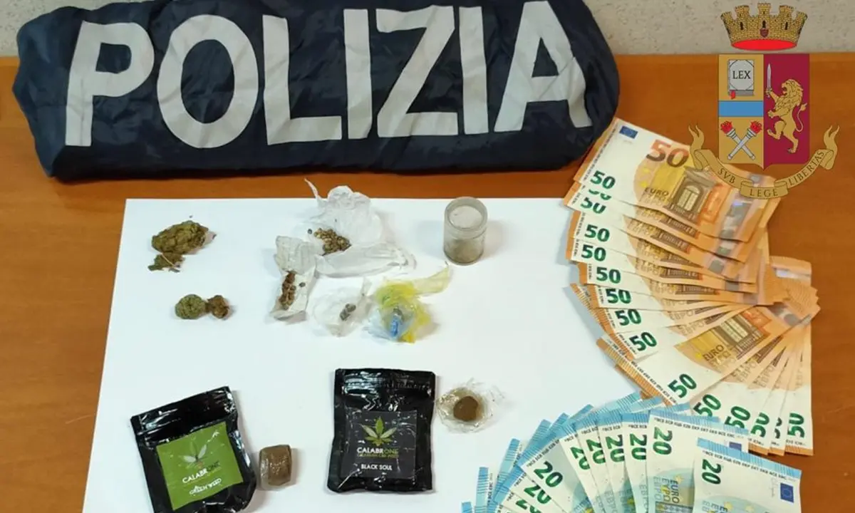 Operazione della Polizia di Stato di Vibo: denunce e sequestri