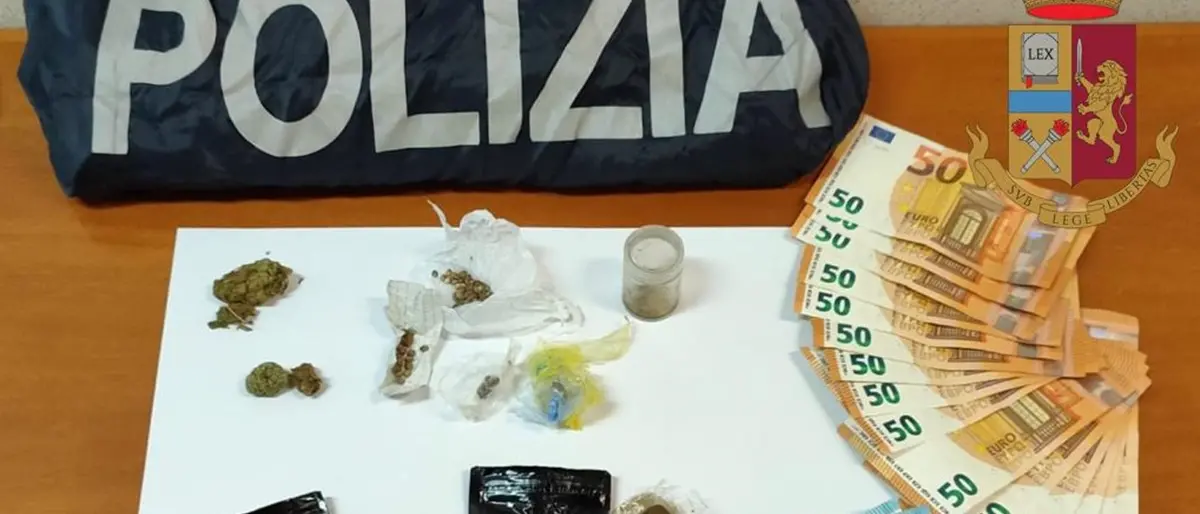 Operazione della Polizia di Stato di Vibo: denunce e sequestri