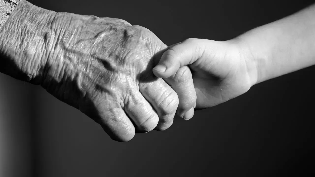 Nel Vibonese popolazione sempre più vecchia e giovani che diminuiscono: i dati per ogni comune