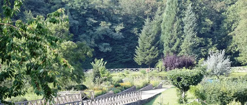 Educando all'ambiente, si conclude nel Parco delle Serre il progetto che coinvolge 1200 alunni