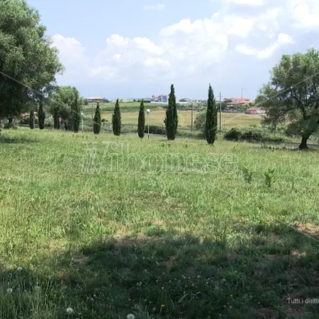Comune di Vibo: gara d'appalto per la gestione del verde pubblico