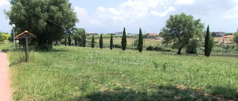 Comune di Vibo: gara d'appalto per la gestione del verde pubblico