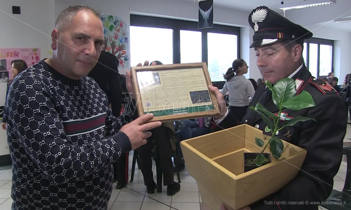 Vibo, la scuola Murmura celebra la giornata della legalità nel ricordo di Filippo Ceravolo - Video
