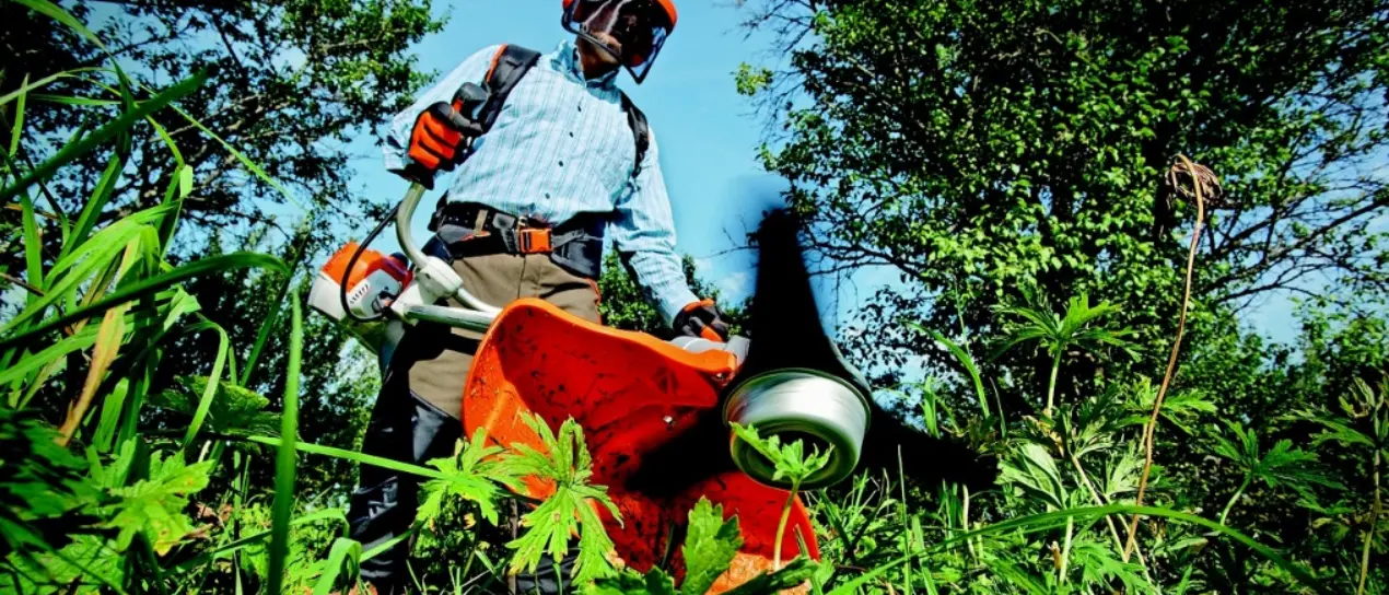 Strade sicure e rischio incendi, il sindaco di Briatico ordina la pulizia dei terreni privati