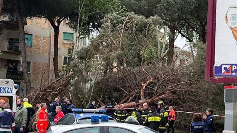 Maltempo, uomo morto per la caduta di un albero a Reggio Calabria , ANSA